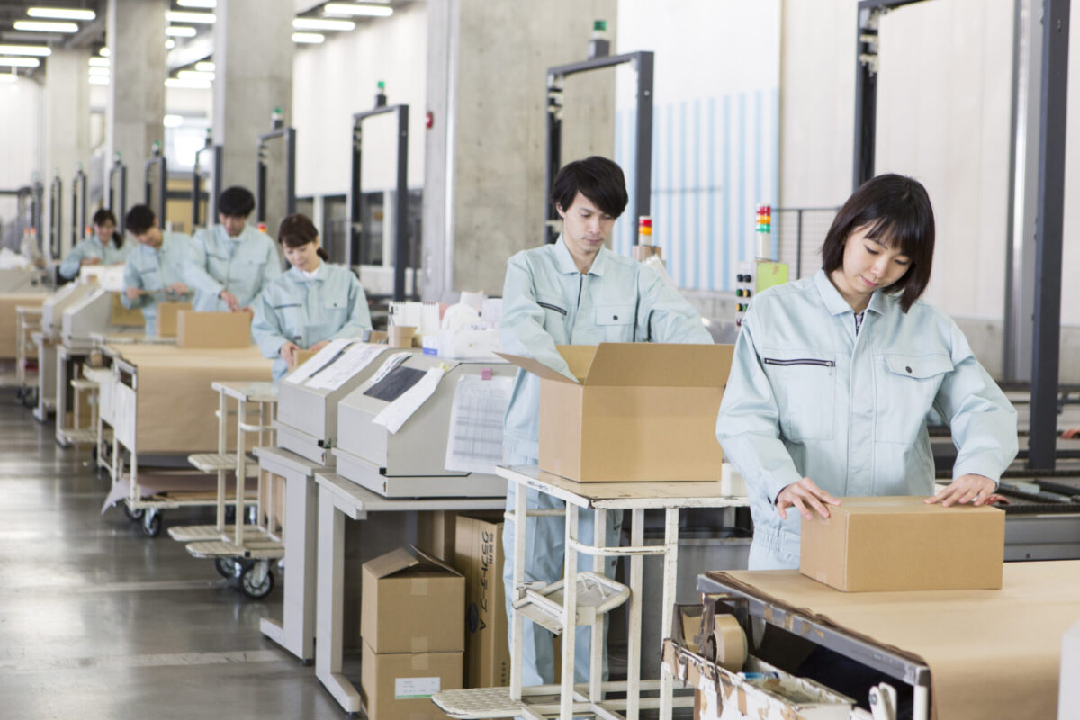 Montagem de paletes de madeira